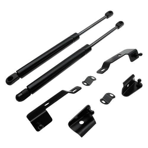 2 Pack Hood Bonnet Gas Lift Supports Shocks Fit for Fit for 04