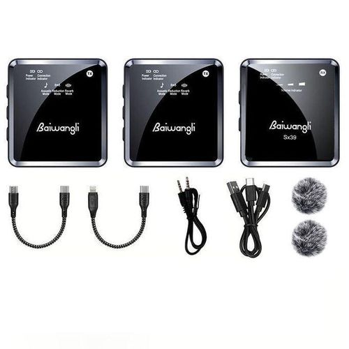 Generic Premium Baiwangli SX39 Dual Wireless Microphone System - Smart Noise Reduction