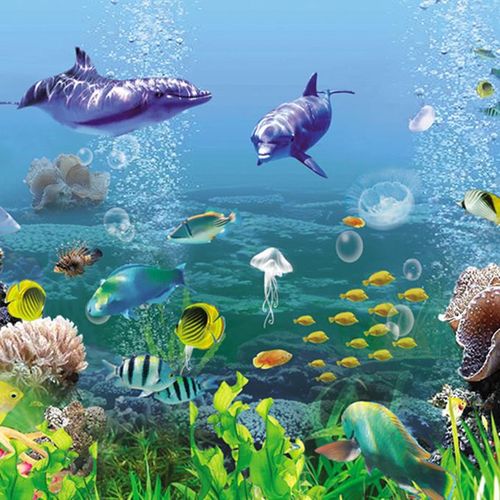 Generic Coral Forest PVC Aquarium Background Poster Tank Fish L