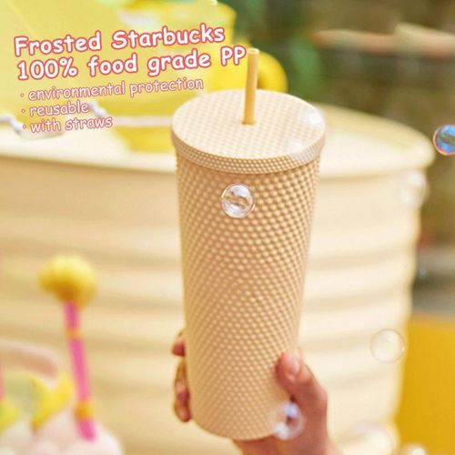 summer Cold Water Cup Tumbler With Straw Double Layer Plastic