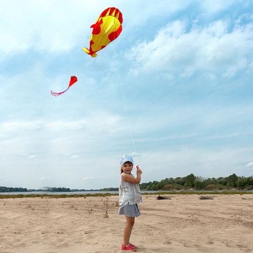 Generic 3D Kite Huge Frameless Soft Parafoil Giant Whale Flying Kite