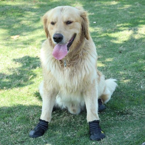 Generic Dog Shoes Boots Waterproof Shoes For Dogs With Reflective