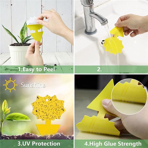 Generic 24 Pcs Sticky Traps for Fruit Fly,Whitefly,Fungus Gnat,Mosquito and  Bug,Sticky Insect Catcher Traps for Indoor/Outdoor