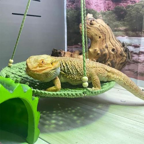 Reptile cage accessories cheap
