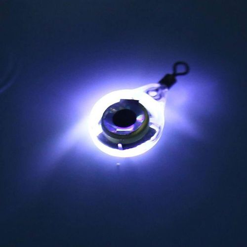 Generic 1PCS LED Fishing Light Deep Drop Underwater Round Shape Squid  Strobe Night Fluorescent Glow Eye Shape Bait