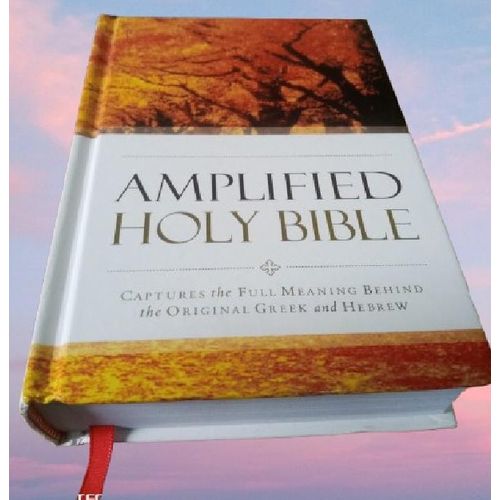 Generic Amplified Bible Compact, References, Double-Column, Bible Text, Footnotes By Zondervan - image 2
