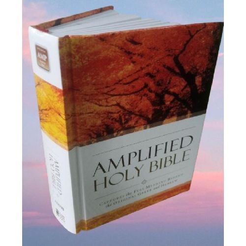 Generic Amplified Bible Compact, References, Double-Column, Bible Text, Footnotes By Zondervan - image 6