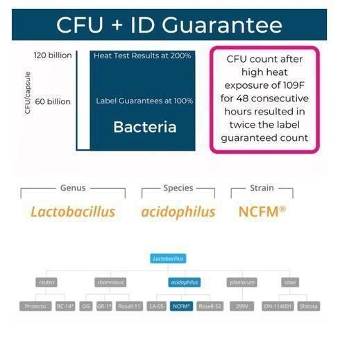 product_image_name-Ali Miller-Restore Baseline Probiotic 60 Capsules-5