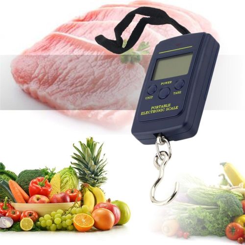 Aq General 40kg Mini Digital Scale For Fishing Luggage Travel Weightin