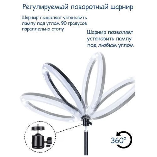 product_image_name-Generic-12 Inch RGB Fill Light Self Photo Beauty Colorful Ring Lamp-4