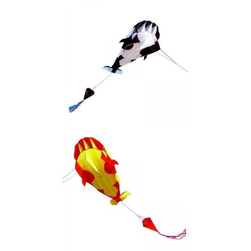 Generic 3D Kite Huge Frameless Soft Parafoil Beach Kite