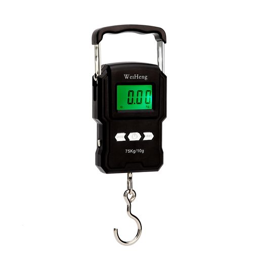 Generic 75kg X10g Portable Digital Scale Fishing Luggage Travel