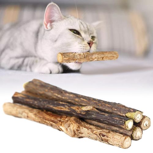 Generic 5 Pieces Catnip Stick Natural Actinidia Polygama