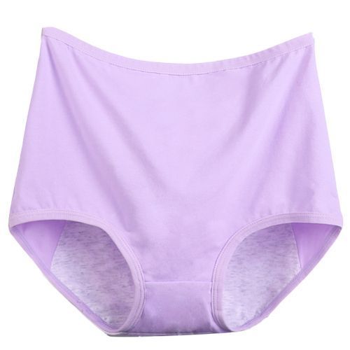 Women's Panties High Waisted Leakproof Underwear Plus Size Womens Underwear  