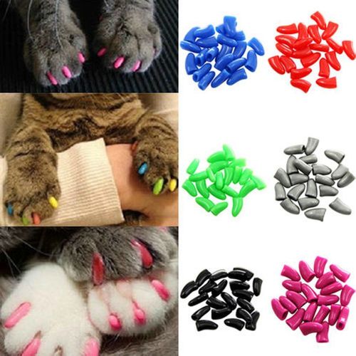 Amazon.com: Mottalio Nail Grippers for Dogs - Dog Anti Slip, Toe Grippers  for Senior Dogs, Stop Sliding on Hardfloor, Two Ways of Use, Dog Paw  Protector, Increase Traction, Reduce Pain & Struggle (