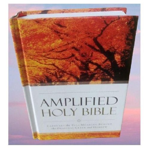 Generic Amplified Bible Compact Size, References, Double-Column, Bible Text, Footnotes By Zondervan - image 5