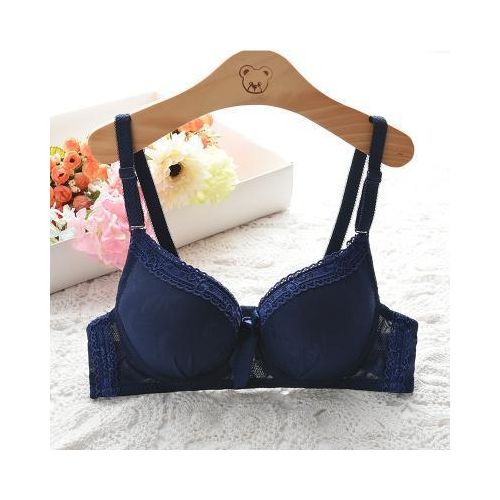 Generic Brands Women Bras Push Up Underwear Gather Women Brassiere