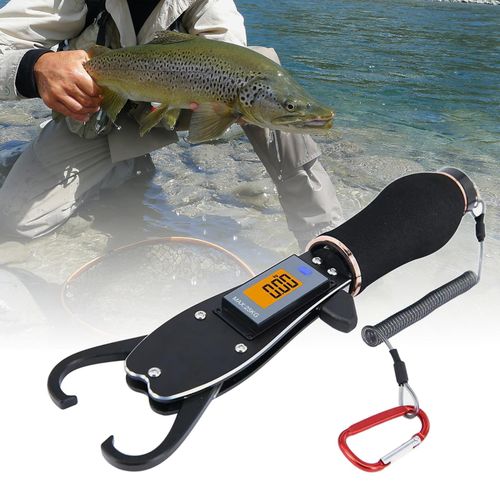 Generic Fish Gripper For Fishing With Weight Scale Portable