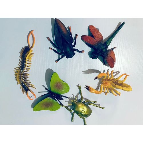 product_image_name-Generic-Montessori Learning Set - Mystical Insects Rubber Toys-1