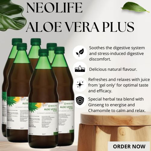 bio vital aloe vera body gel Indus Valley Bio-Organic Non-Toxic Aloe Vera Gel – Veeha Beauty main image 0