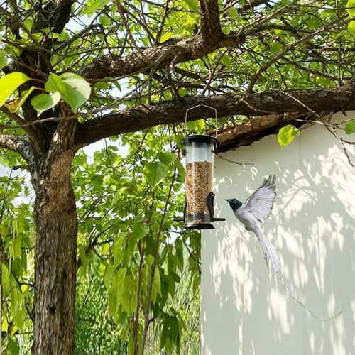 Generic Automatic Bird Feeder - image 6