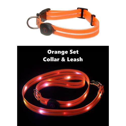 Generic LED Dog Leash & Collar Set Waterproof Reflective Nylon