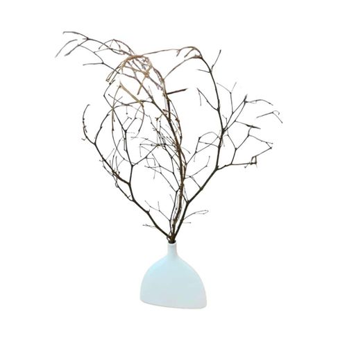 product_image_name-Generic-Combo - Vase and Twigs plus Wall frame -2