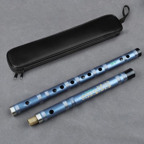 Professional flute for beginners 2025