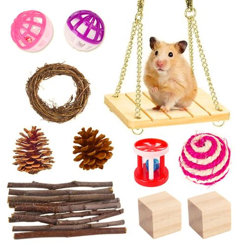 Generic 11pcs Hamster Chew Toys Set