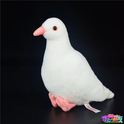 Small pigeon toy clearance