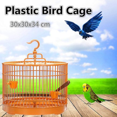 Plastic parakeet on sale