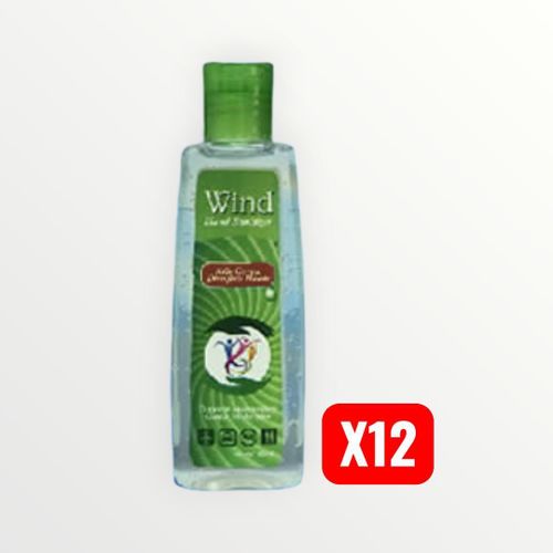 Wind Hand Sanitizer 100ml - 12pcs