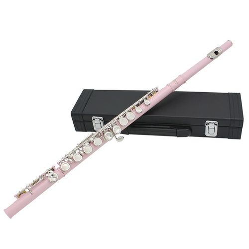 Flute price on jumia discount
