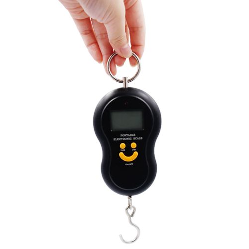 Backlight Hanging Luggage Fishing Weight Scale, Digital Hand