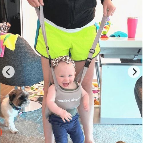 Walking wings for baby hotsell