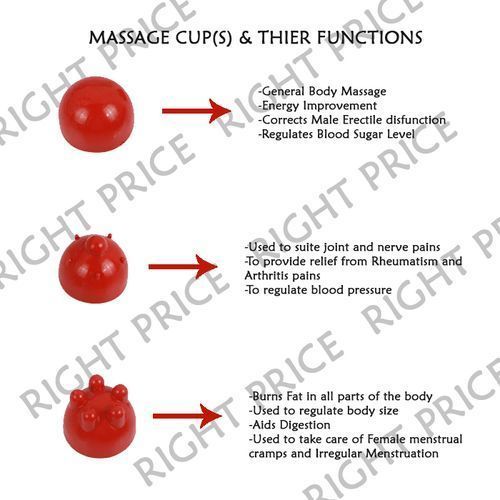 Generic Dolphin Infrared Body Massager - image 2