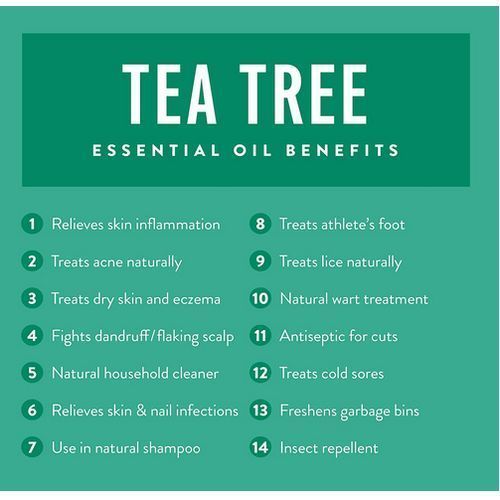 UpNature Tea Tree Essential Oil Roll On 10ml 33oz - image 3