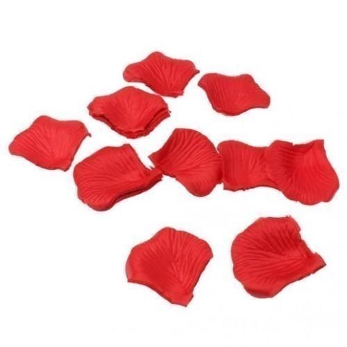 Generic Red Rose Petals Flowers Jumia Nigeria