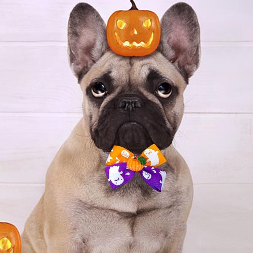 Generic Cat Choker Necklace Cat Bowties Fall Halloween I Jumia