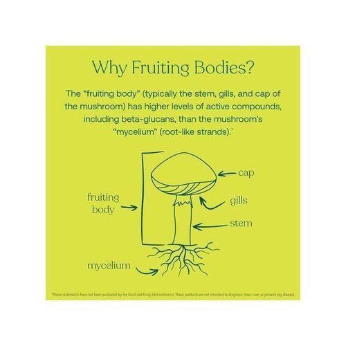 product_image_name-True Grace-Cordyceps 120 Capsules-5