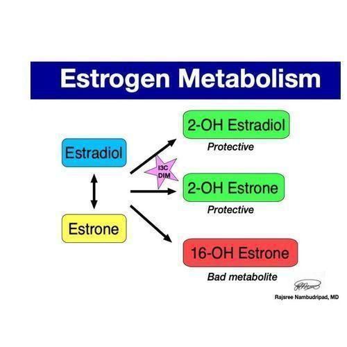 product_image_name-Oc integrative-Estrogen Balancer 60 Capsules Diindolylmethane (DIM)-5