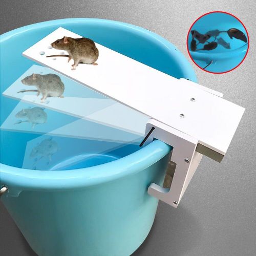 Walk The Plank Mouse Trap Rodent Bucket Trap Rat Auto Reset Mice Catcher  Humane