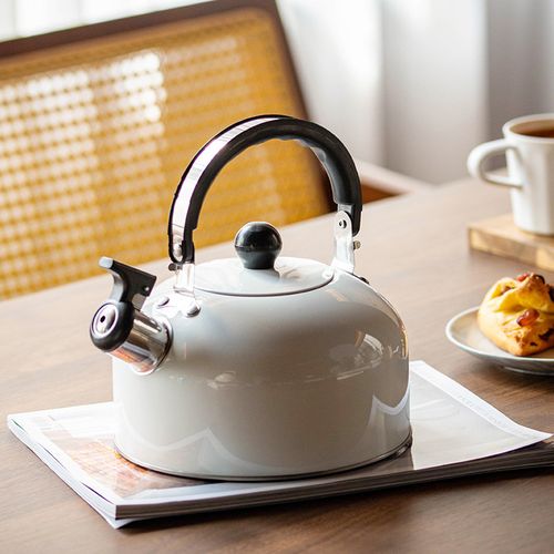 Generic Stove Top Fast Boiling Kettle Whistling Tea Kettle 3.0L Jumia Nigeria