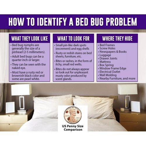 product_image_name-Nature's Mace-Bed Bug Killer 473ml Ready To Use Spray-3