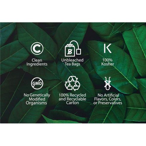 product_image_name-Buddha Teas-Horsetail - Organic Herbal Tea - For Cognitive Balance & Overall Health 18 Tea Bags-6