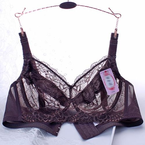 Women's Sheer Lace Underwire bra Unlined Minimizer Bra 34 36 38 40 42 44 46  48 B C D E F G H