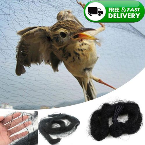 Generic (6mx3m)Bird Net Anti Bird Catcher Netting Pond Net Fishing N