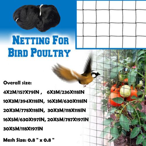 Generic (6mx3m)Bird Net Anti Bird Catcher Netting Pond Net Fishing N