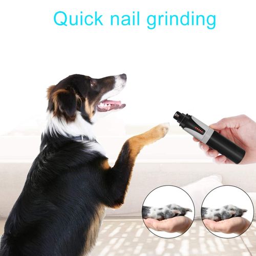 Glass Nail File for Dogs – Warren London