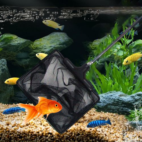 Generic Safe Reliable Fishing Net Stainless Steel Extendable for Aquariums